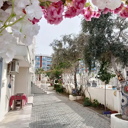 Апарт-отель Nesa *