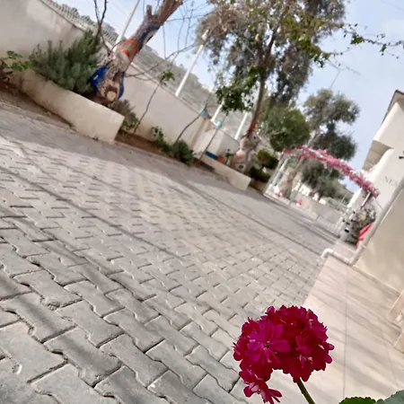 Nesa * Kusadasi