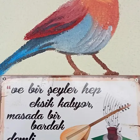 Nesa Lägenhetshotell *