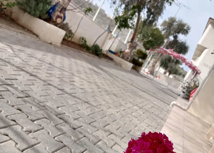 Nesa * Kusadası