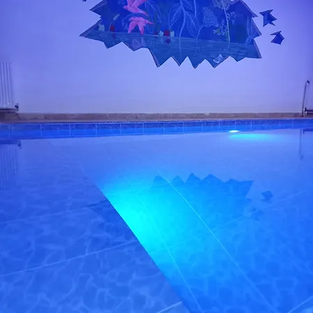 شقة فندقية Nesa *