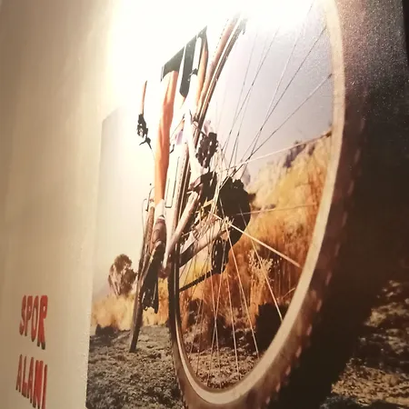 Nesa كوشاداسيه